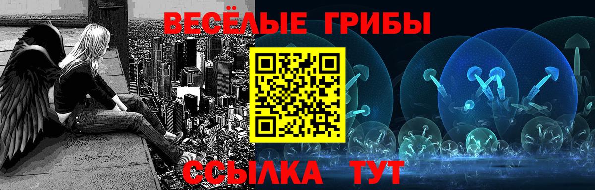 Codein Железногорск